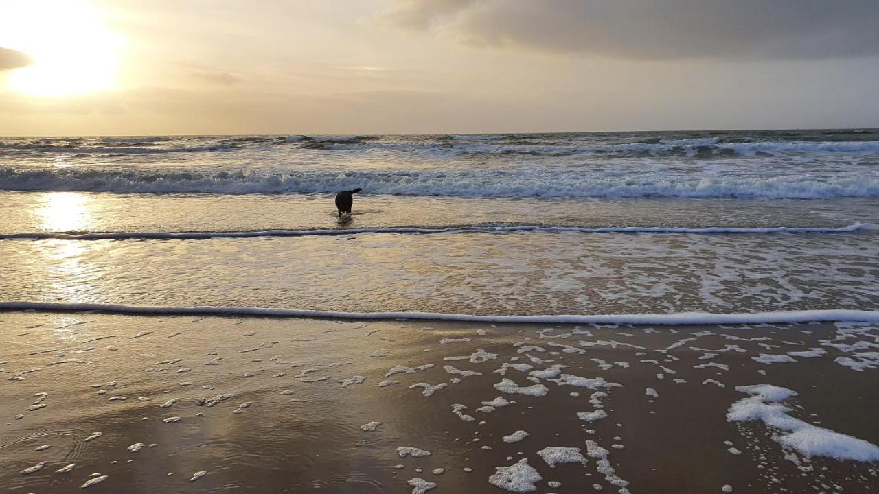 Luxe Vakantiebungalow Met Omheinde Tuin Voor Hond En Kinderen Dirkshorn Exteriér fotografie