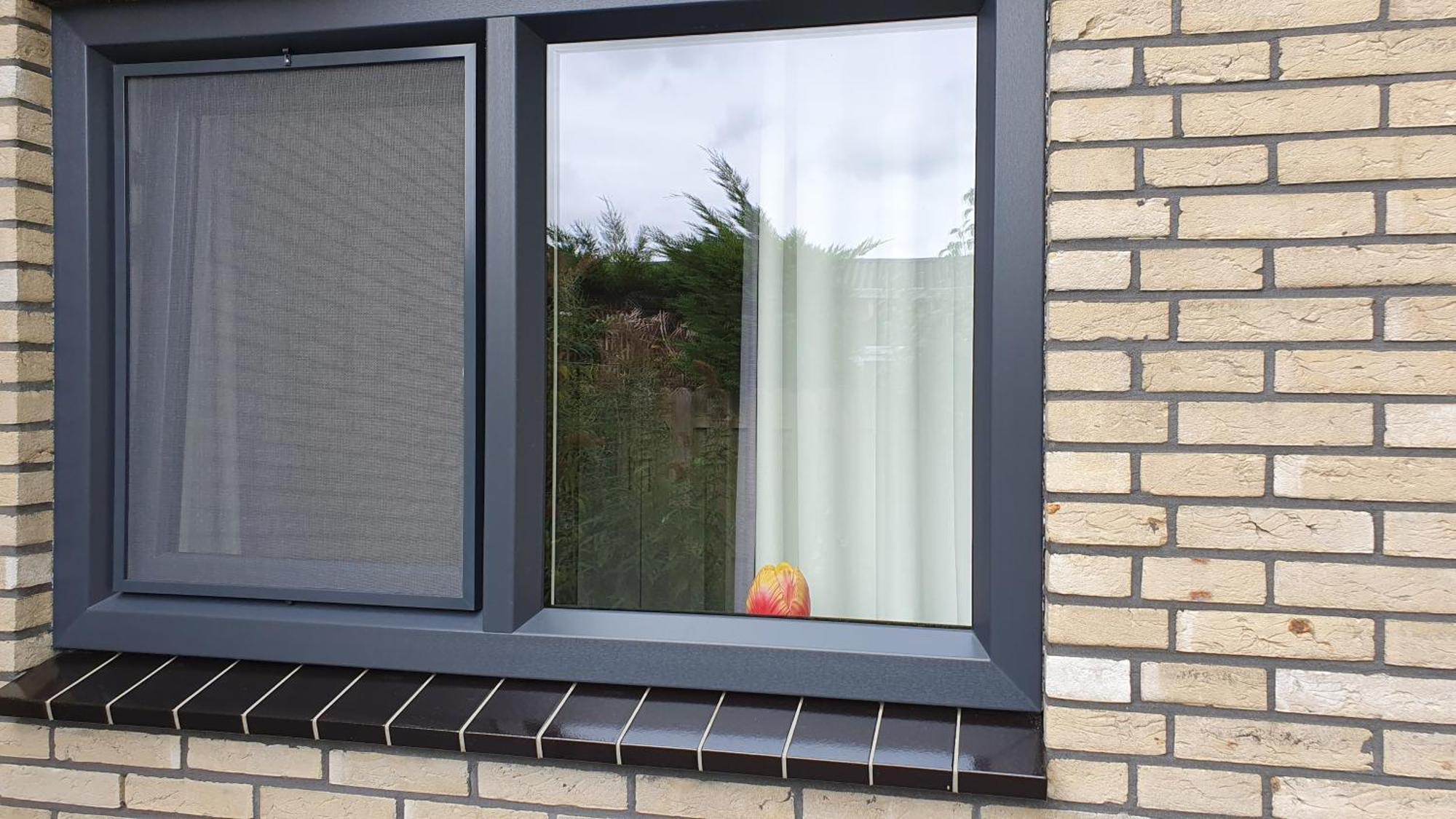 Luxe Vakantiebungalow Met Omheinde Tuin Voor Hond En Kinderen Dirkshorn Exteriér fotografie